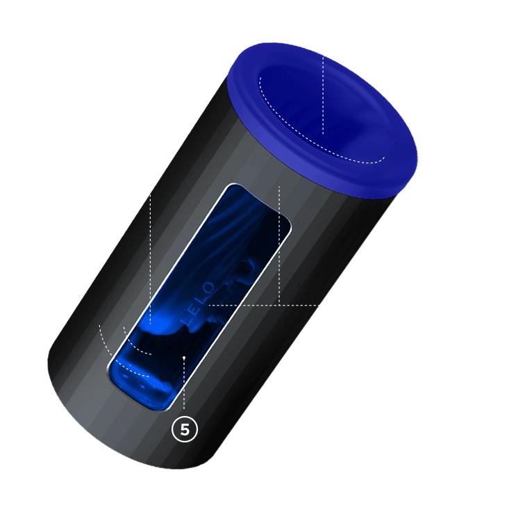 F1S V2