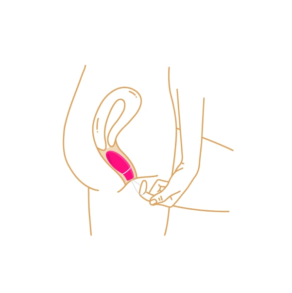 Insert it