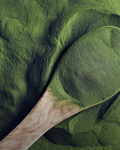 Chlorella 