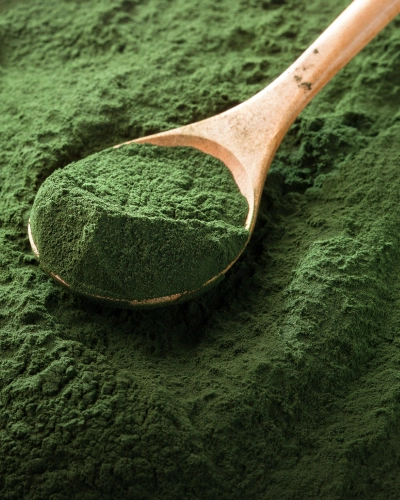 Spirulina Powder