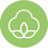 organic cotton